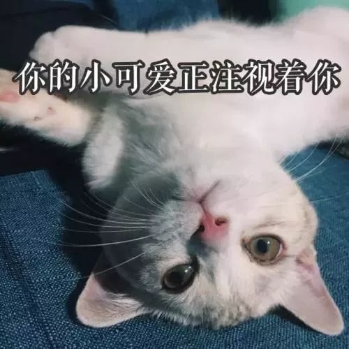 两个女孩合租一个房间得病,两个女生合租一个房子得病