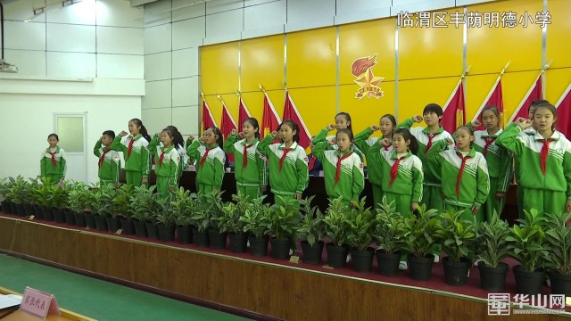 我市开展少先队建队日,郑州市少先队主题队日活动