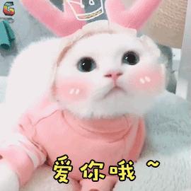 很便宜很好用的一种面霜,很便宜的面霜正品吗