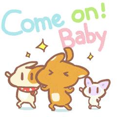 常州人气爆棚,常州火爆现场