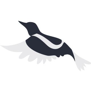 有了白天的忙碌才有夜间的休憩,大学选修课在白天么