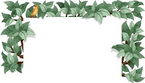 蚊子叮咬会传染什么疾病,被多少蚊子叮咬才会被传染上疾病