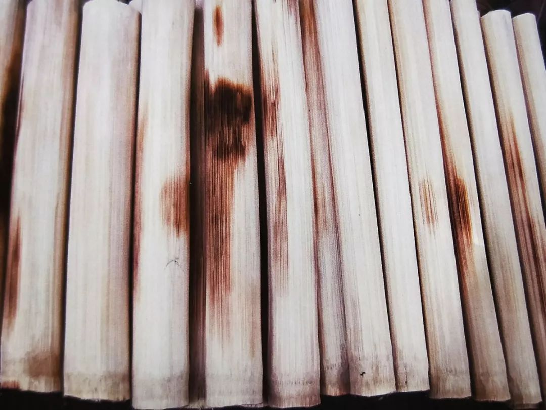 「推荐」刷屏！这是我眼中的边境河口