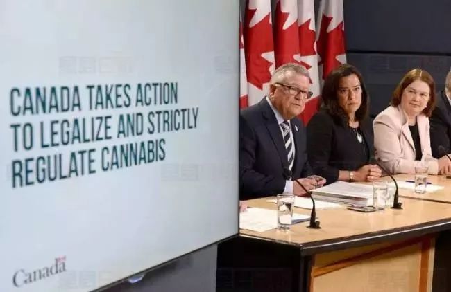 消遣类*麻大**即将合法化，加拿大人害怕了吗？