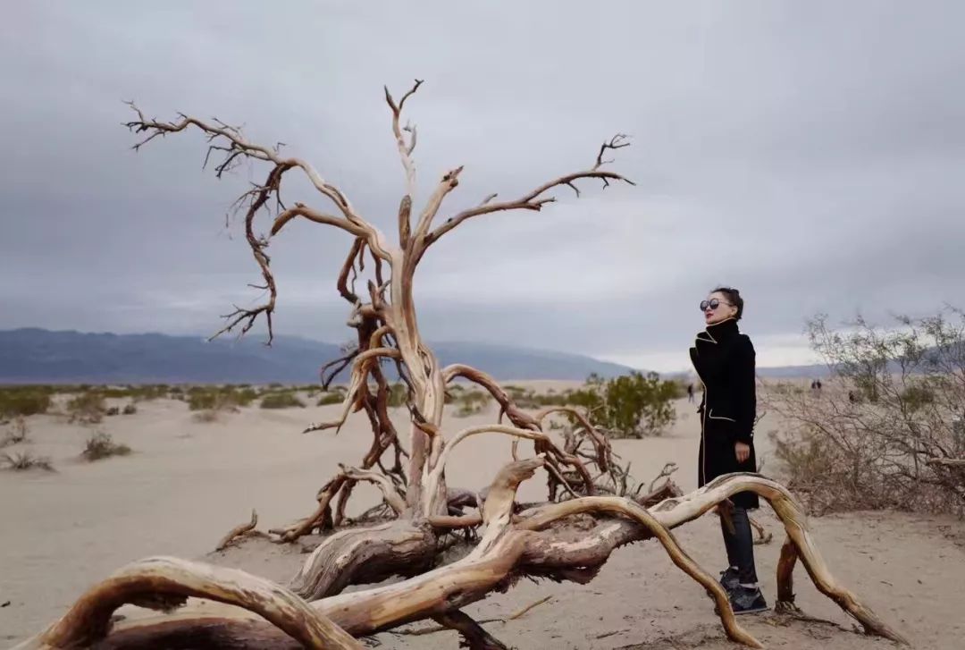 瀹滀俊璐㈠瘜楂樼,瀹滀俊璐㈠瘜瀹㈡埛缁忕悊鍚嶅崟