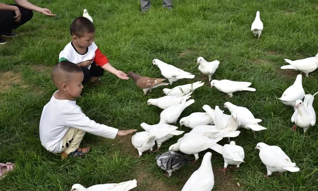 朝阳蓝调庄园亲子乐园,鞍山祥和庄园美吗