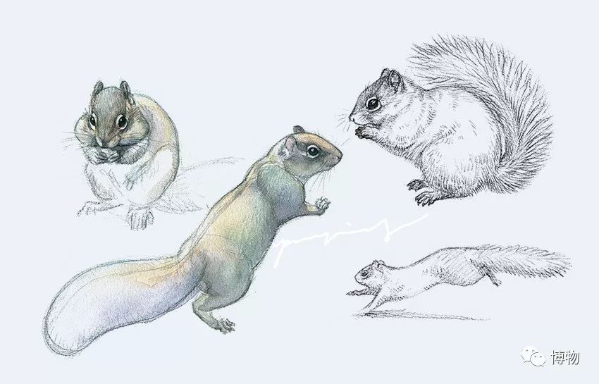 想跟博物一起外出采风？春节我们滇西见