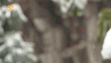 魅力中国城崇左vs大足视频,魅力中国城让你知道