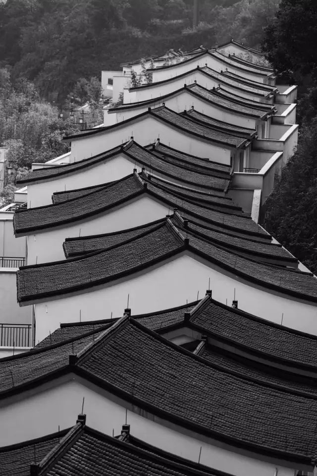 阿丽拉乌镇三天两夜含早餐,阿丽拉全集