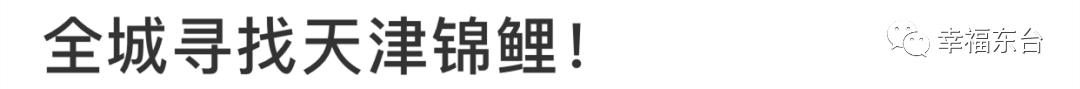 刷爆东台人朋友圈的锦鲤活动，竟藏着巨大*局骗**！