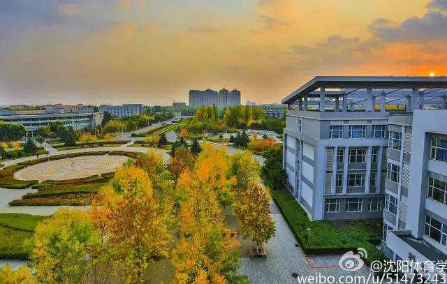 高考沈阳高校,高考沈阳志愿