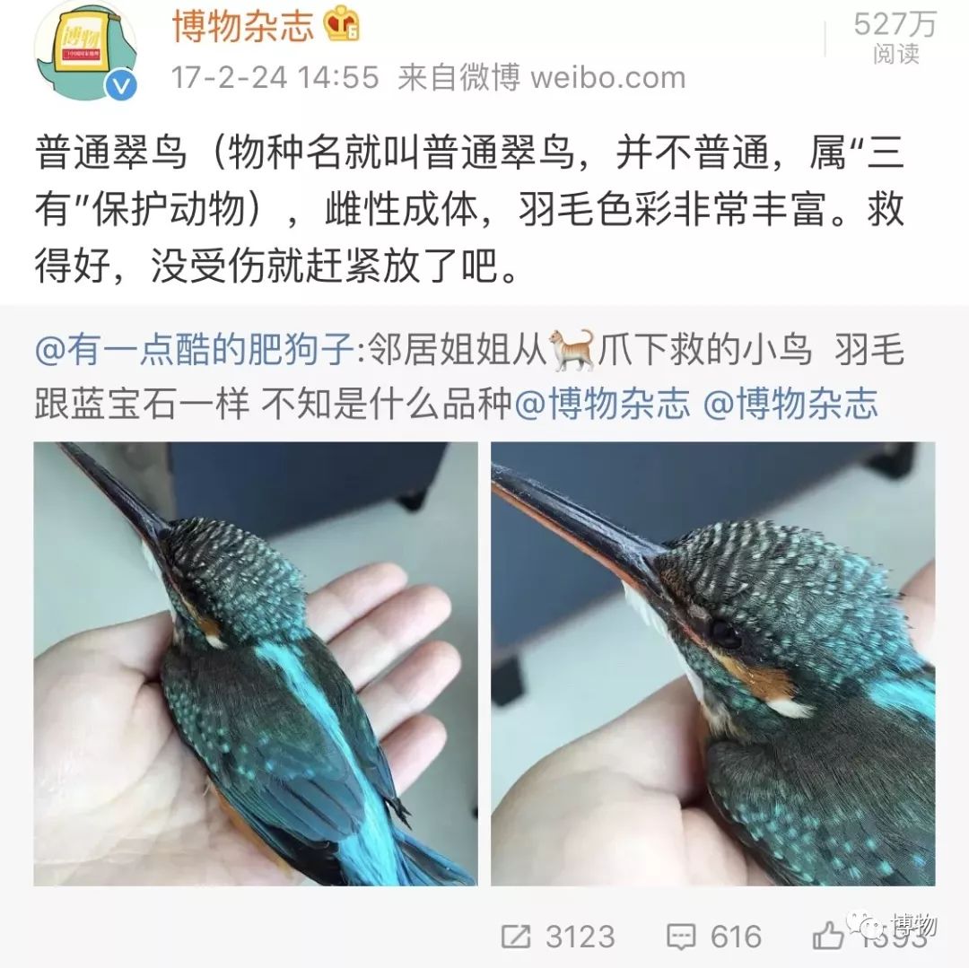 做点翠需要的材料,做点翠饰品犯法吗