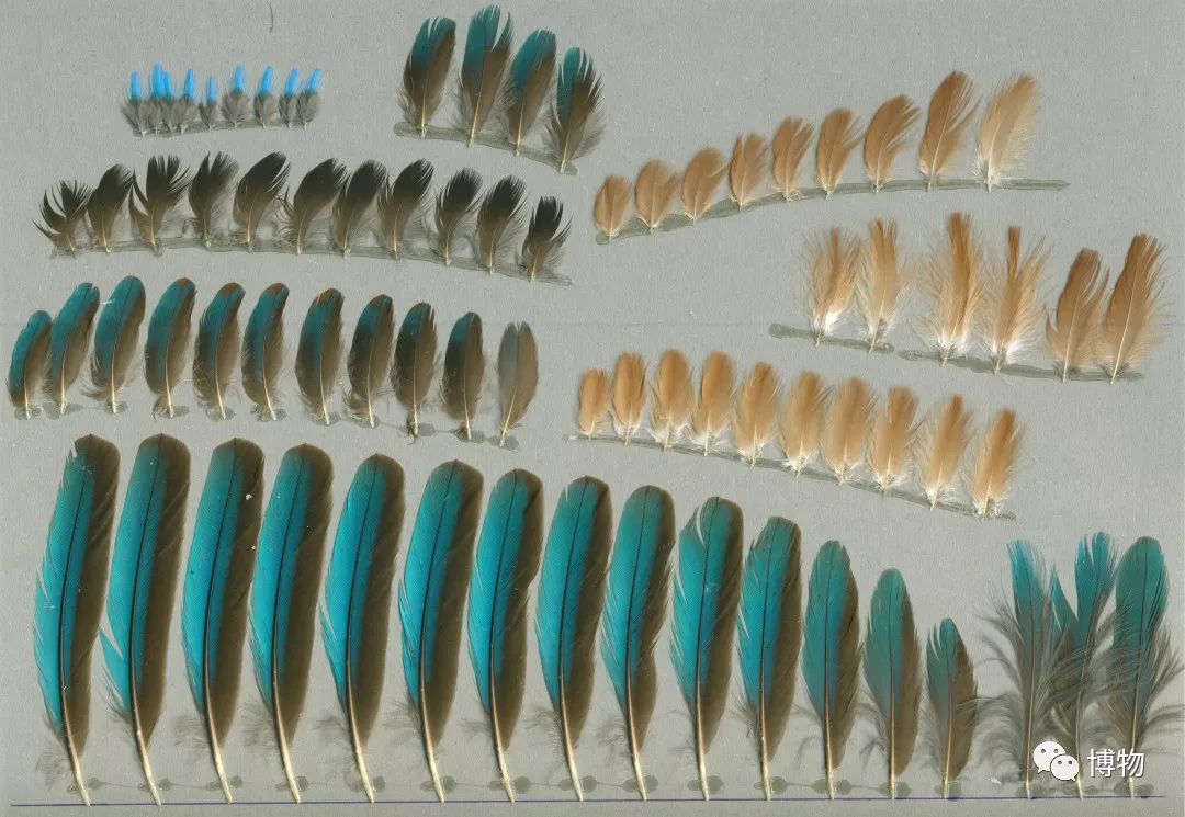 做点翠需要的材料,做点翠饰品犯法吗