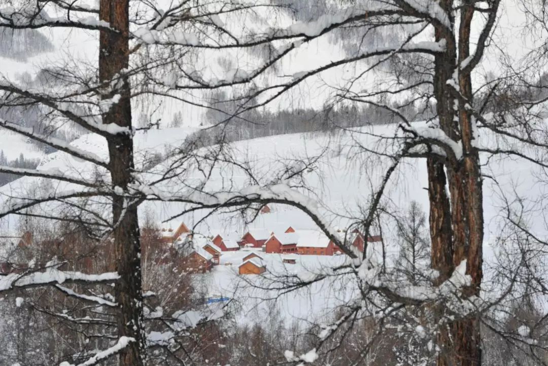 疆内铁路年内第八次调整,新疆铁路4月10日零时起调图