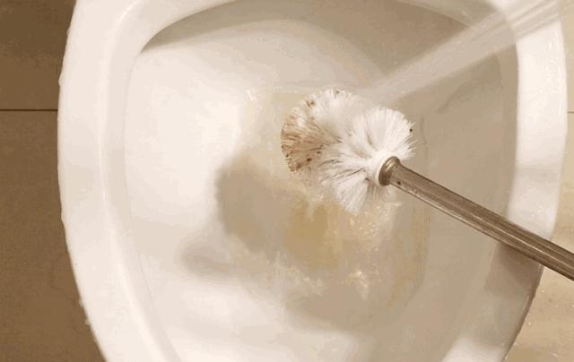 马桶特价秒杀200-300元,马桶冲水喷射大量细菌是真的吗
