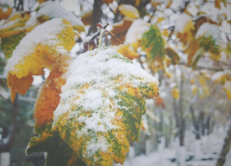 游·达坂城｜下雪了，一起来达坂城看美景~