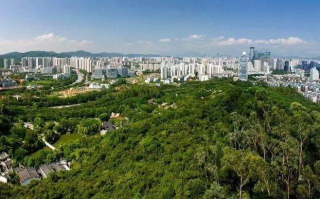 5年后你会住什么房子,住龙华好吗