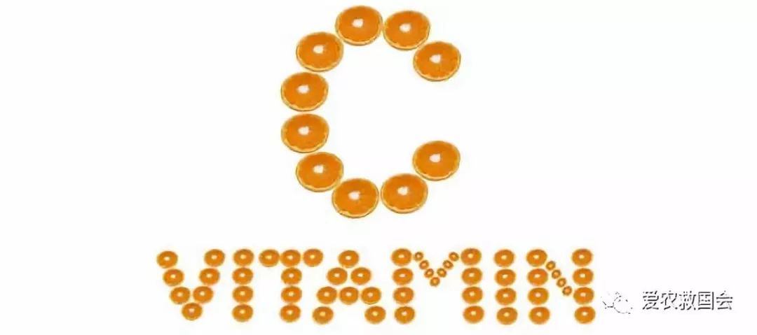 金芷神痛风茶,痛风能喝的茶