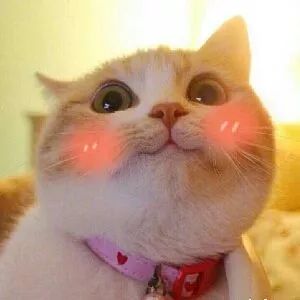 壕！徐州矿大这名90后校友给母校捐了1100万！原来他就是……