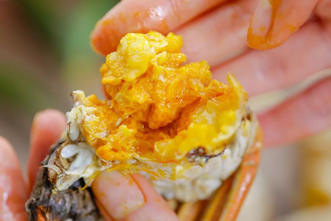 大闸蟹各部位千万别吃图解,大闸蟹这四个部位不建议吃