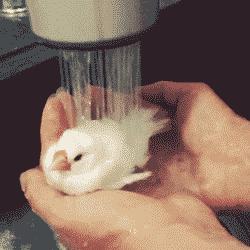 消防宝典最新消息,消防宝典蒸桑拿