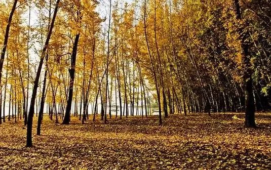 初冬太原附近游玩景点推荐带孩子,太原周边秋景最美的地方