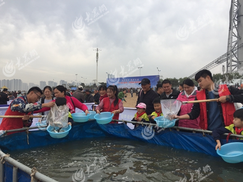 第十三届沂河放鱼公益活动,沂河放鱼展