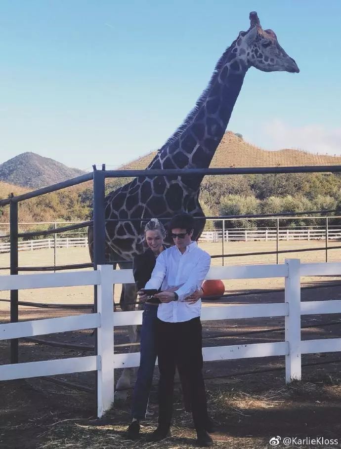 karliekloss婚礼完整版,karliekloss官宣