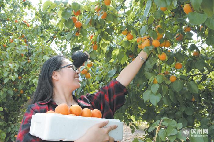 称赞滨州这座城市很美,中国最具幸福感城市2018