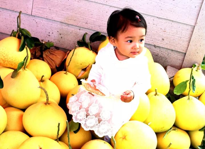 中华第一名柚,柚子中华第一柚