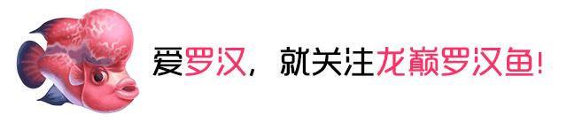 白点病的治疗方法,鱼白点病的治疗方法