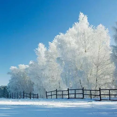 书讯最新消息,书讯大全免费阅读