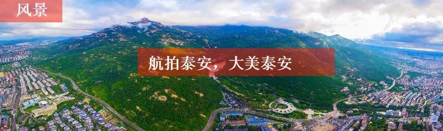 泰山世界古典汽车博览馆老爷车,泰山汽车博物馆开放时间表
