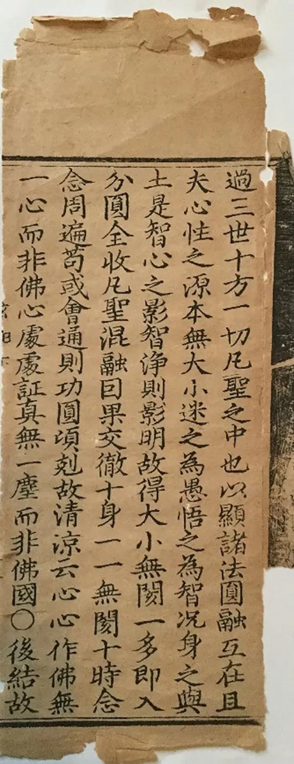 高山杉：与《通玄记》残页的偶遇和重逢