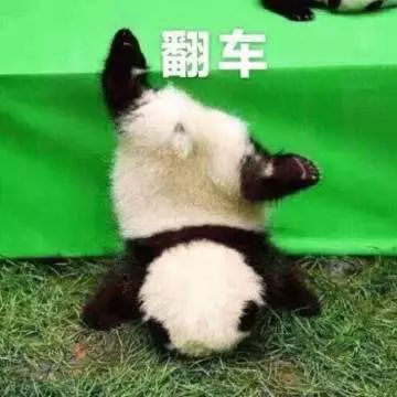 为什么中国锦鲤这么火,锦鲤红包骗人套路