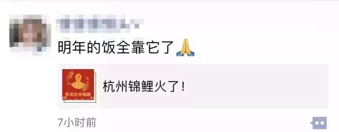 为什么中国锦鲤这么火,锦鲤红包骗人套路