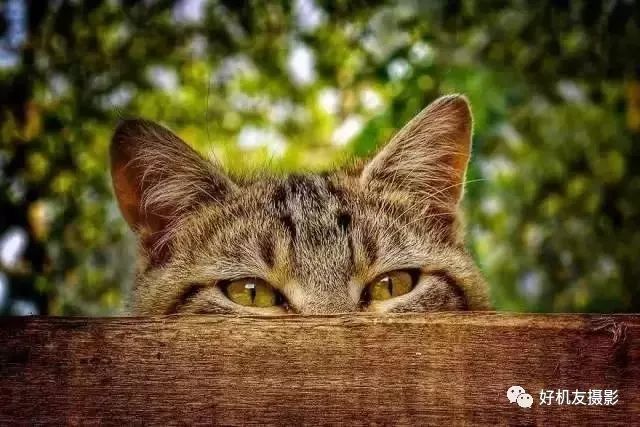 富士xt30单反拍照构图方法和技巧,尼康d5300单反相机如何构图拍照