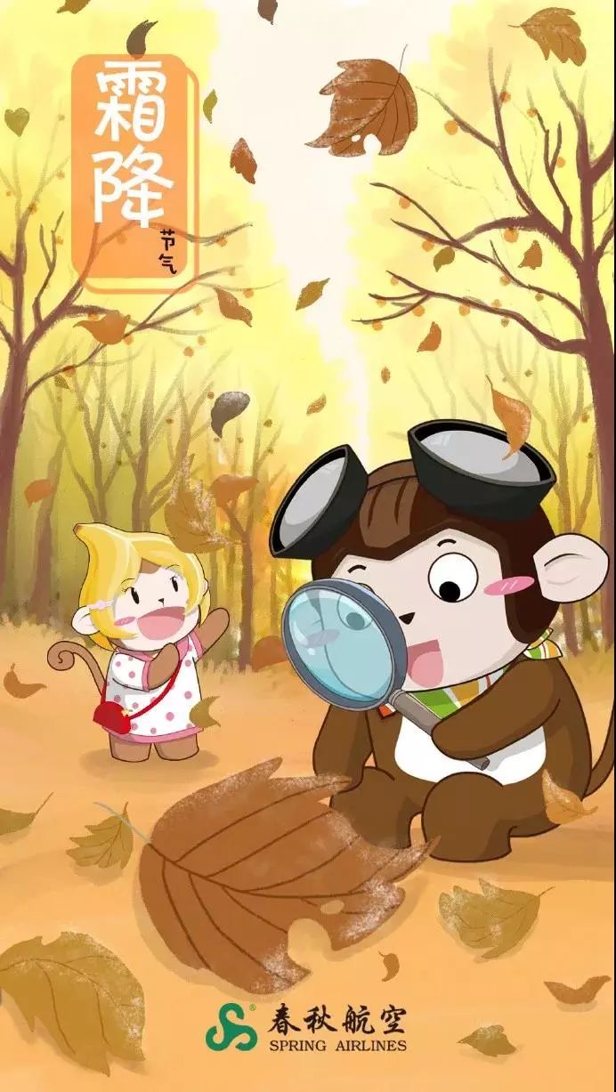 霜降宣传图,霜降宣传海报图片