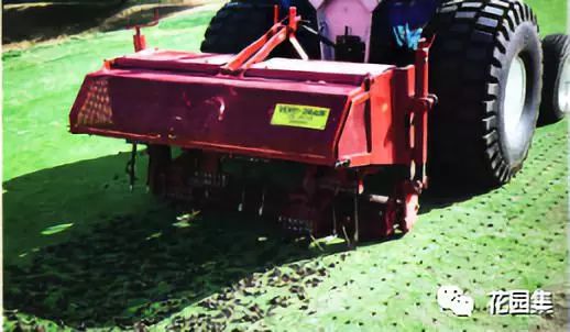 公园草坪怎么养护效果最好,公园草坪管理养护