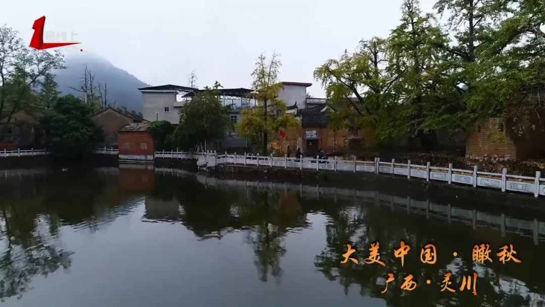 广西各县市国家奖励,恭喜广西