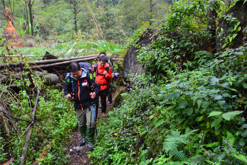 十大非著名山峰,湖南十大非著名山峰