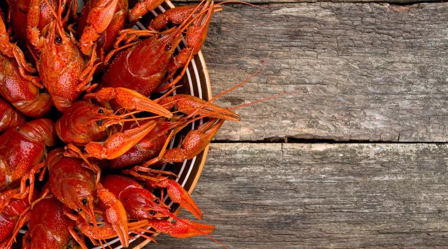 没有食物能防癌!酵素全都在骗钱!101条谣言,一次全辟掉