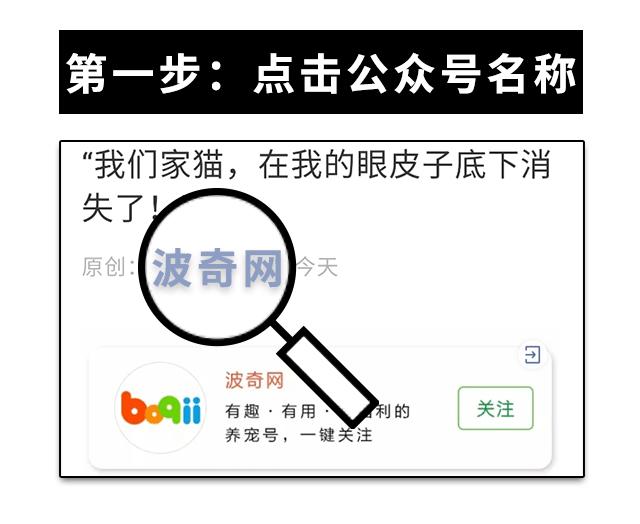 沐浴露猫咪专用1元,猫咪沐浴露0.1元