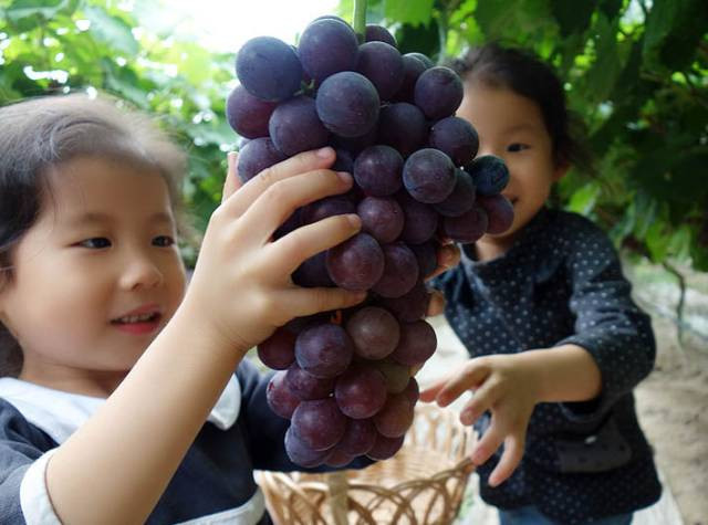 戳心窝的春城日常生活，625万昆明人边看边哭！