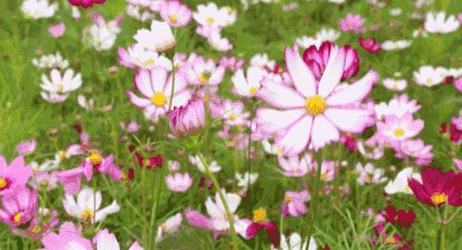 黄石周边一日游网红打卡地,黄石市爬山散步
