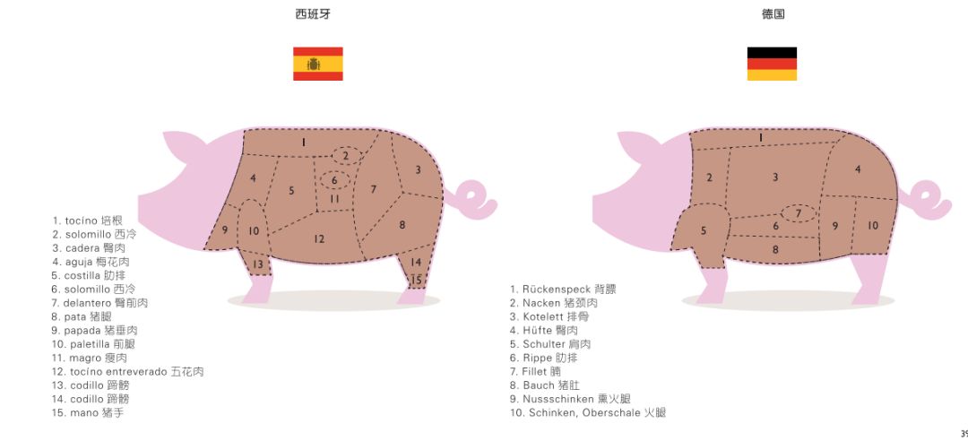 猪猪日常是怎样的,猪猪是怎么制定学习计划