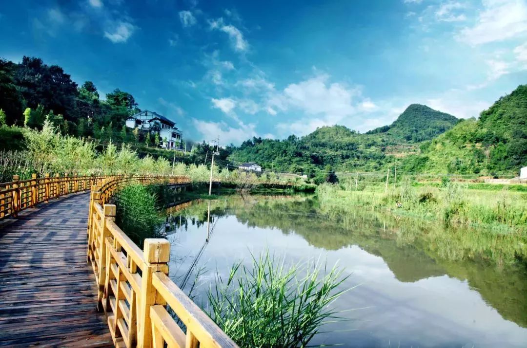 白蜡河,静静的河——枫香苟坝感悟!