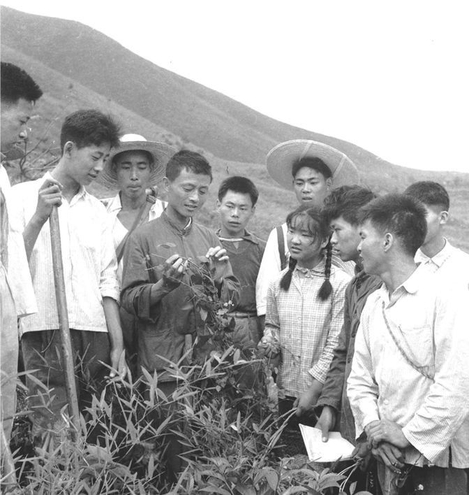 栉风沐雨铸辉煌,栉风沐雨铸华章