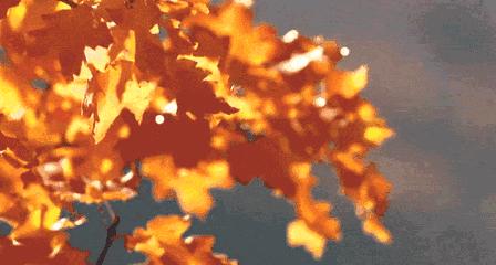 每一张不经意间成就的作品都是上帝替我们按下的快门