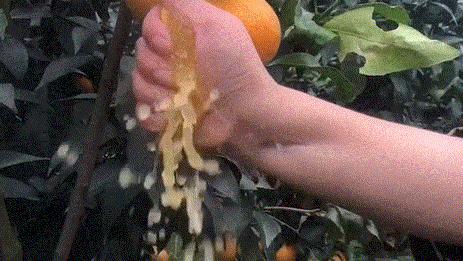 爆款零食回购率第一,回购率超高的小零食